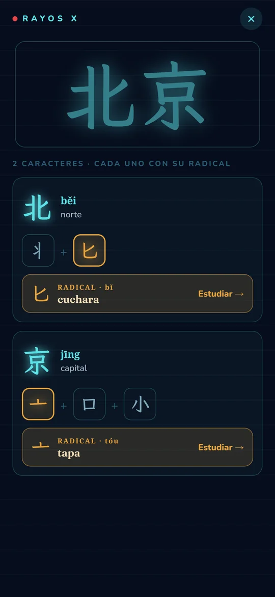 Rayos X de un carácter, con sus piezas y su radical
